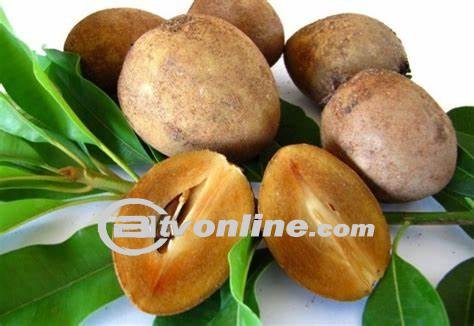 Manfaat Kesehatan dan Cara Nikmati Buah Sawo: Si Manis dari Tropis