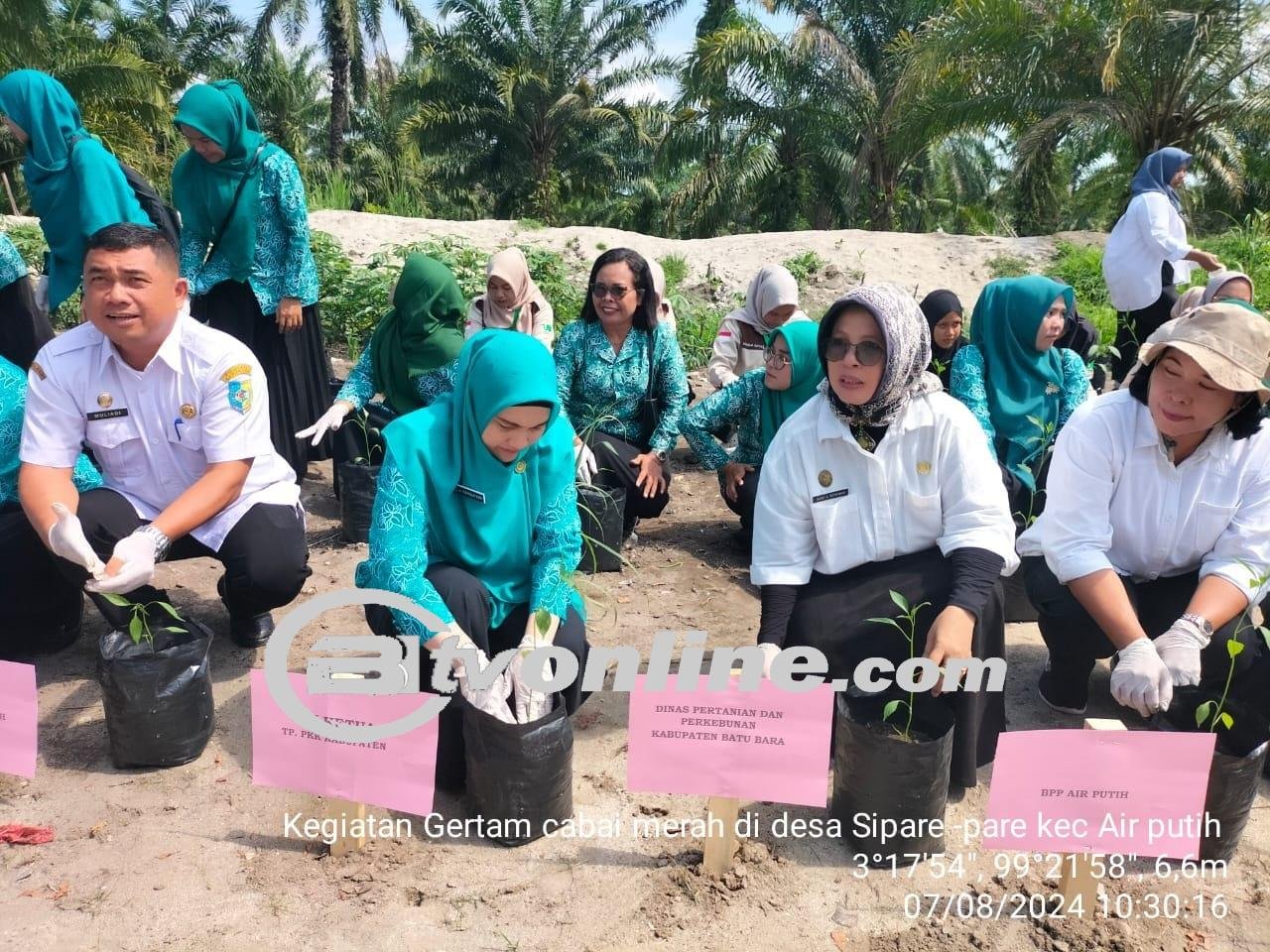 Tekan Laju Inflasi, Dinas Pertanian dan Perkebunan Lakukan Gertam Cabai Merah