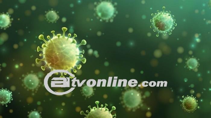 Wabah Virus Chandipura Mengguncang India! 38 Orang Tewas dalam Wabah Terburuk dalam Dua Dekade!