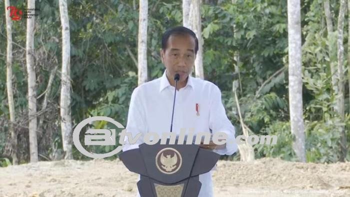 Jokowi Ajak Gubernur dan Bupati Mencontoh IKN: Strategi Bangun Kota dan Ajak Investor