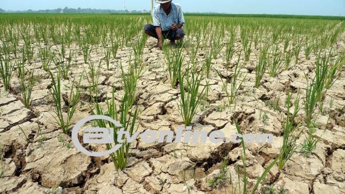 BMKG: 60 Persen Wilayah Indonesia Masuki Musim Kemarau Hingga Pertengahan Agustus 2024