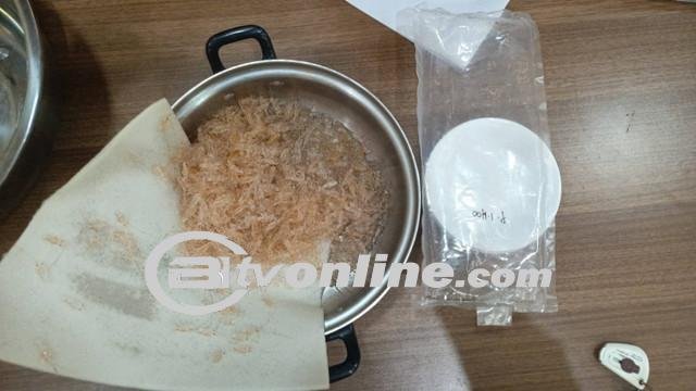 Lansia Ditangkap di Bandara Ngurah Rai Karena Berusaha Selundupkan Benih Lobster Senilai Rp 3,1 Miliar