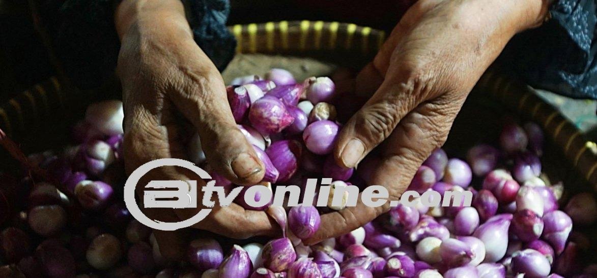 Harga Rata-rata Bahan Pangan Nasional Alami Perubahan Beragam pada Akhir September 2024