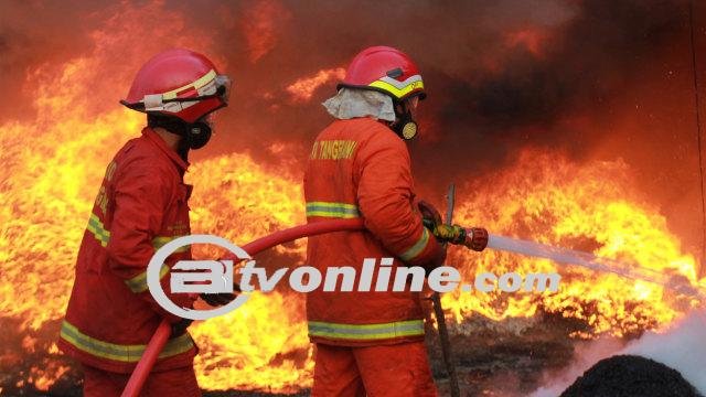 Kebakaran Landa Kandang Kambing di Srengseng, 37 Ekor Mati Terbakar