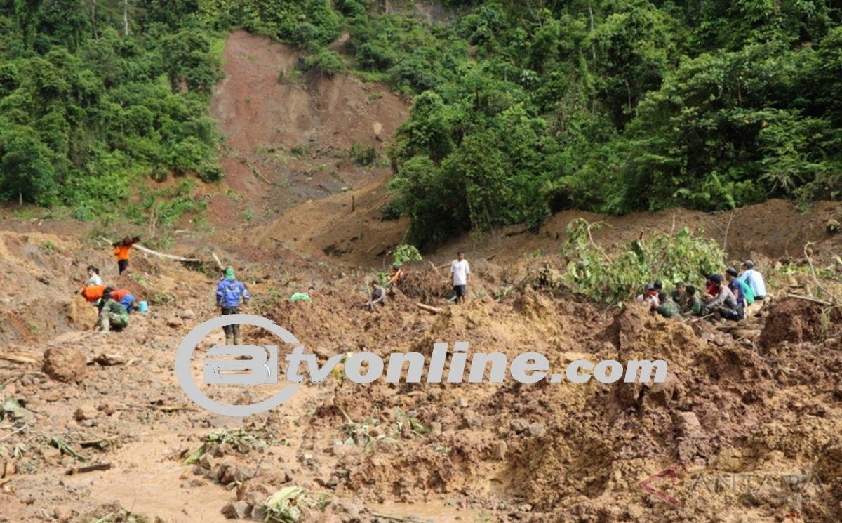 Longsor di Solok: 40 Penambang Emas Tertimbun, 15 Tewas, Proses Evakuasi Dihadang Medan Sulit