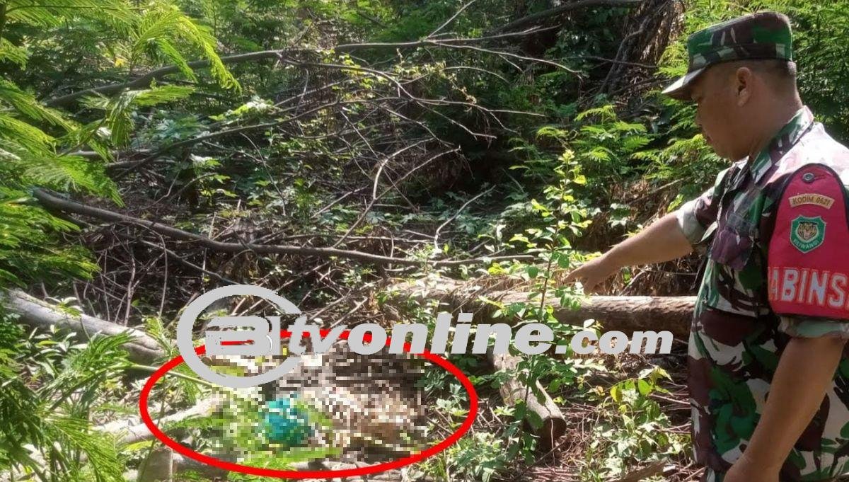 Warga Klapanunggal Digegerkan Temuan Kerangka Manusia di Area Hutan, Polisi Lakukan Evakuasi