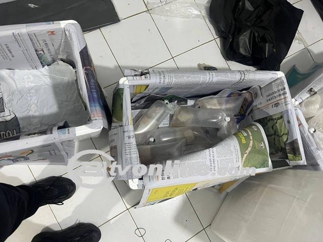 14 Pelaku Penyelundupan Benih Lobster Ilegal Ditangkap di Lampung!