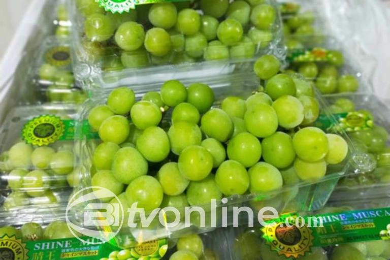 BPOM Akan Lakukan Sampling Anggur Shine Muscat Terkait Temuan Residu Beracun?!