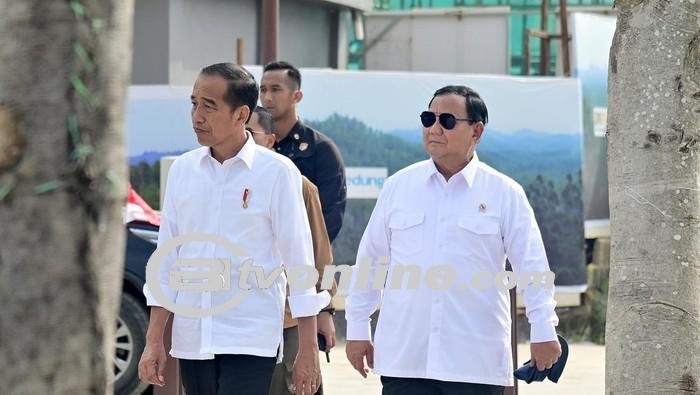 Jokowi Tanggapi Masuknya Banyak Menteri ke Kabinet Prabowo