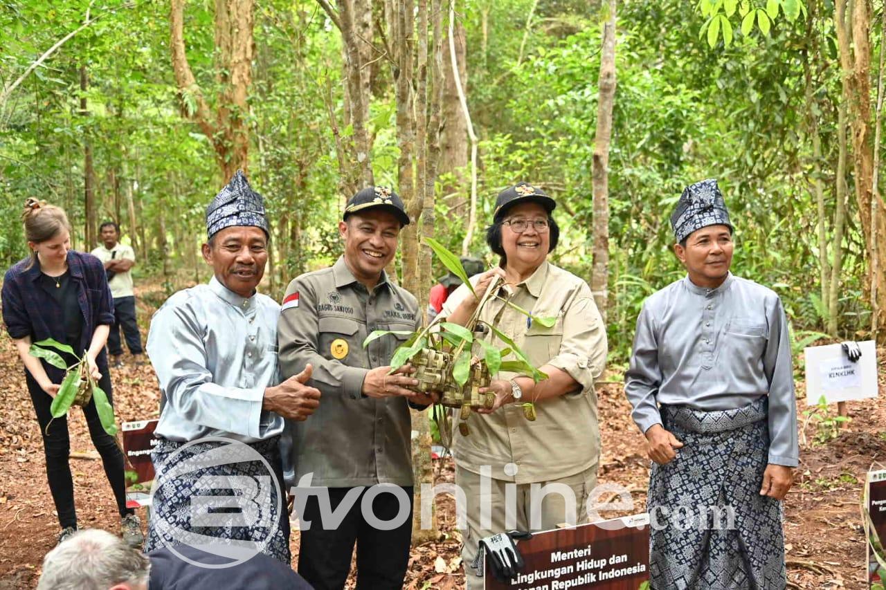Menteri LHK Dorong Rehabilitasi Mangrove, Indonesia Miliki 3,4 Juta Hektare Terbesar di Dunia