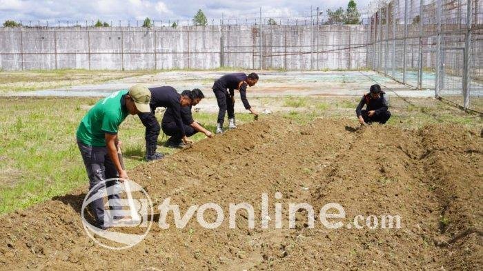 Rutan Humbang Hasundutan Maksimalkan Lahan Kosong untuk Program Ketahanan Pangan Warga Binaan