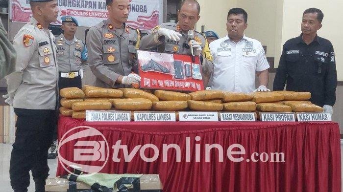 Polisi Tangkap Pengedar Ganja di Langsa, Sita 60 Paket Narkoba dan Senjata Api Rakitan