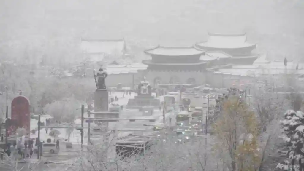 Badai Salju Lebat Terjang Korea Selatan, Empat Tewas dan 140 Penerbangan Dibatalkan