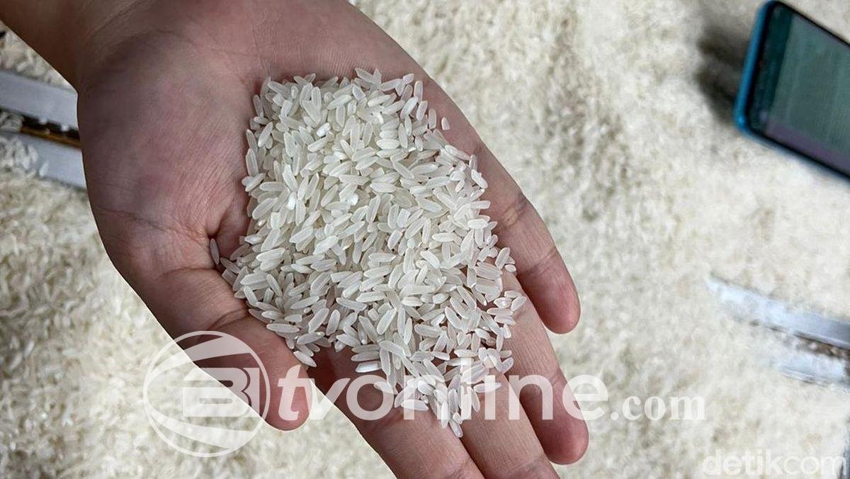 Bansos Beras 10 Kg Diteruskan Hingga 2025, Pemerintah Siapkan 160 Ribu Ton untuk 16 Juta Penerima