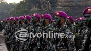 Peringatan HUT Ke-79 Korps Marinir TNI AL: Kenang Sejarah dan Peran Vital dalam Pertahanan NKRI