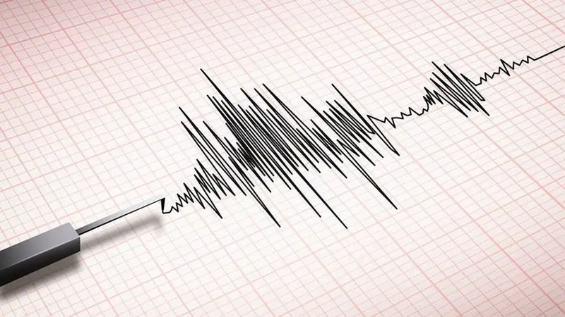 Gempa Magnitudo 4,8 Guncang Pasaman Barat, BMKG Imbau Waspada Gempa Susulan