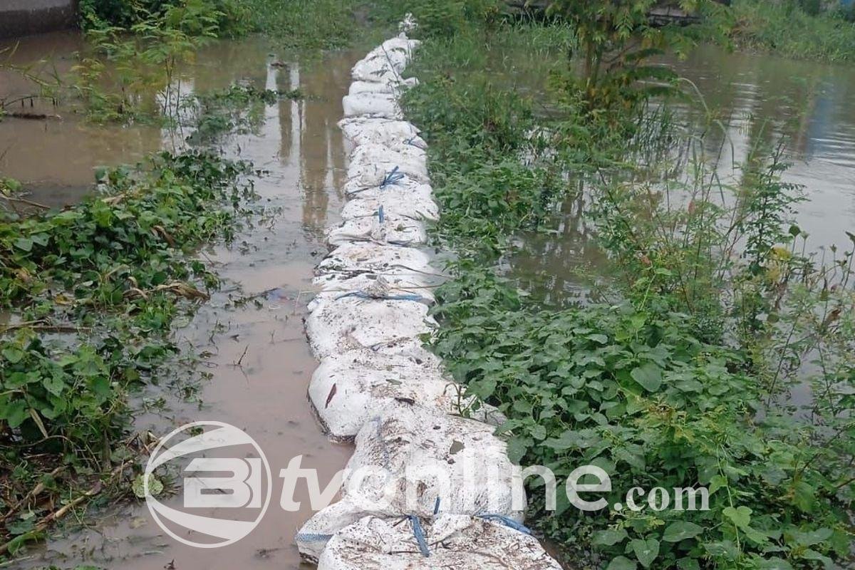 Tanggul Darurat Dibangun untuk Atasi Banjir 50 Cm di Desa Ngaban dan Boro, Sidoarjo