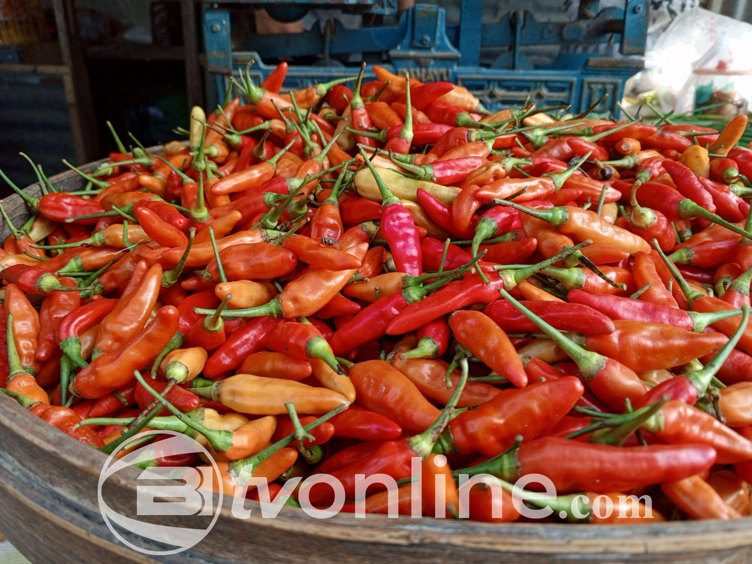 Harga Cabai Rawit Hijau di Pasar Rawasari Naik 100% Jelang Nataru, Capai Rp60 Ribu per Kg