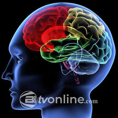 Ahli Saraf Ungkap Cara Menjaga Kesehatan Otak Agar Tetap Tajam Seiring Bertambahnya Usia