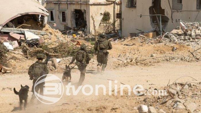 Israel Selesaikan Zona Penyangga di Gaza, Ratusan Ribu Warga Palestina Terancam Terusir