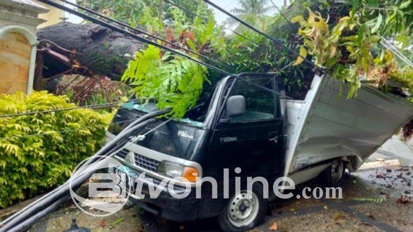 Pohon Tumbang Timpa Mobil dan Pengendara Motor di Karanganyar, Korban Luka Ringan