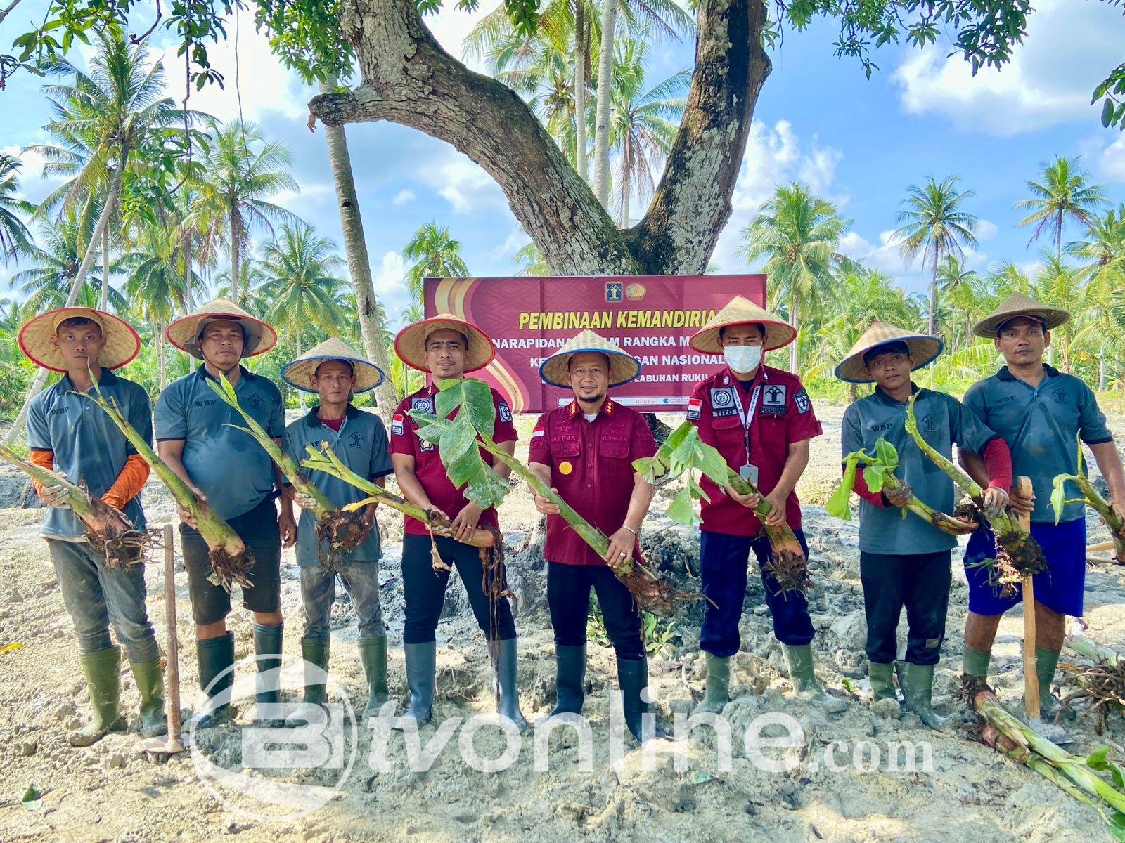 Lapas Labuhan Ruku Budidayakan Pisang untuk Peningkatan Kemandirian Warga Binaan dan Dukung Ketahanan Pangan