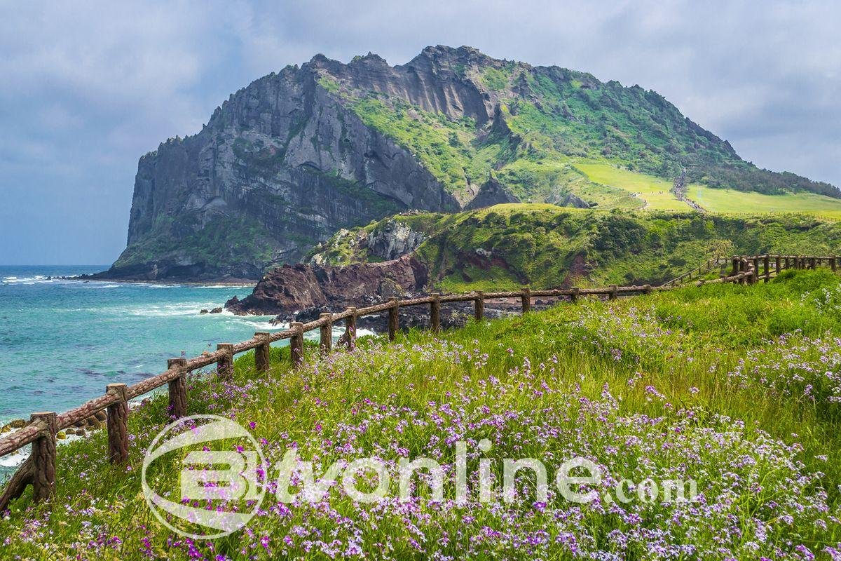 38 Wisatawan Vietnam Hilang di Pulau Jeju, Diduga Berusaha Tinggal Ilegal di Korea Selatan