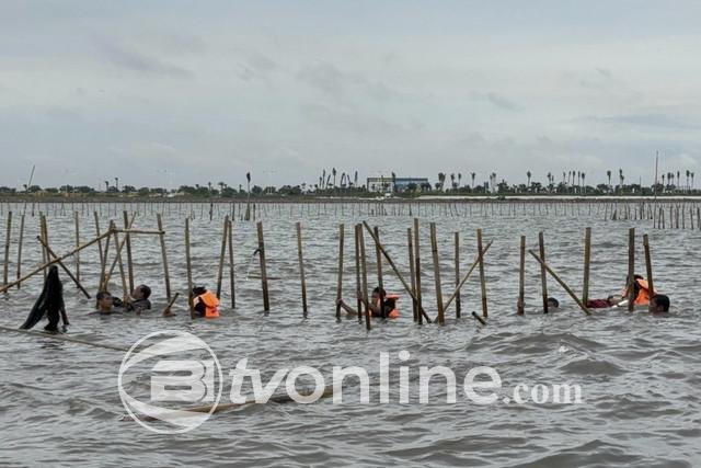 Perintah Presiden Prabowo! TNI AL Mulai Bongkar Pagar Laut Misterius di Perairan Tangerang