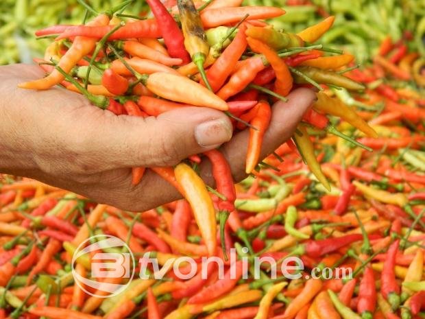 Harga Pangan Turun Secara Umum, Namun Cabai Rawit Merah Masih Tembus Rp71.700 per Kg