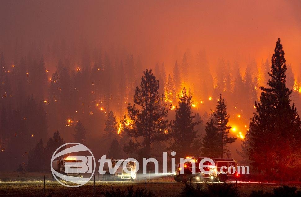 Kebakaran Hutan di California Selatan: 10 Tewas, Solidaritas Israel Dapat Reaksi Keras