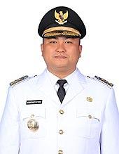 Profil dan Harta Kekayaan Bupati Terpilih Labuhanbatu Utara 2024, Hendri Yanto Sitorus