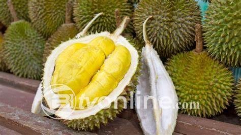 Indonesia Tertinggal dalam Ekspor Durian ke China, Rosan Roeslani Soroti Tantangan Besar