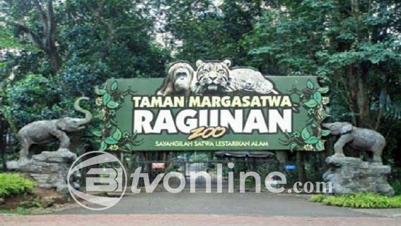 Taman Margasatwa Ragunan Targetkan 100.000 Pengunjung Selama Libur Panjang