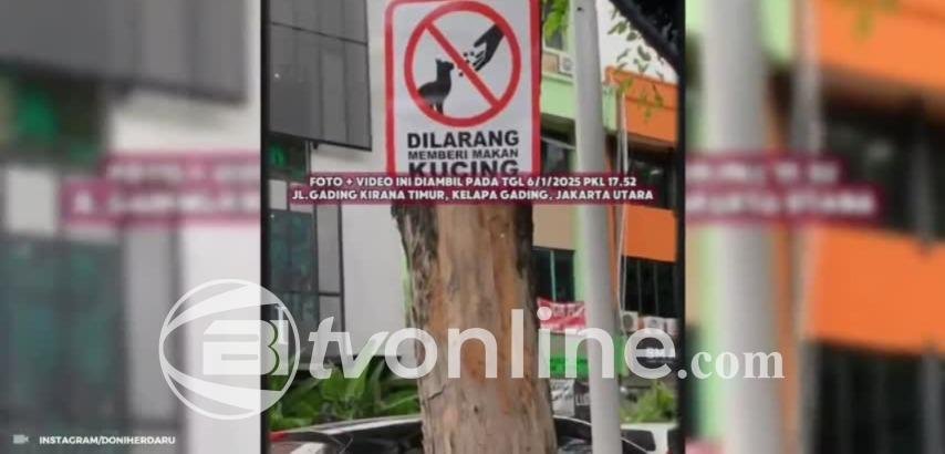 Protes Larangan Memberi Makan Kucing Liar di Kelapa Gading Berakhir Damai