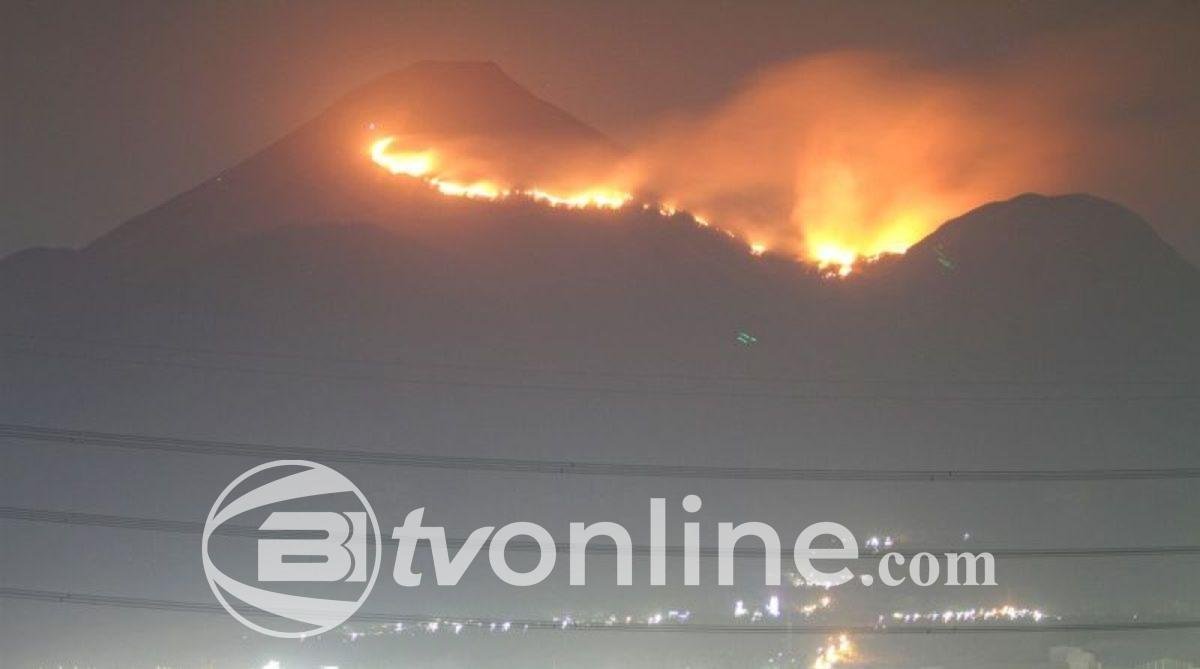 Kebakaran Dahsyat Melanda Los Angeles, Kerugian Diperkirakan Mencapai US$ 135 Miliar