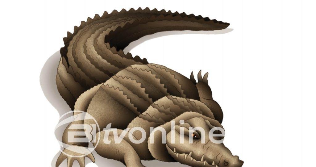 Mitos Buaya Siluman Tedak Kroman di Sungai Kedungpeluk Sidoarjo, Warga Masih Percaya Hingga Kini