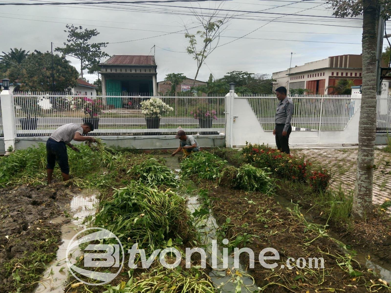 Panen 180 Kg Kangkung, Lapas Labuhan Ruku Dukung Program Ketahanan Pangan.