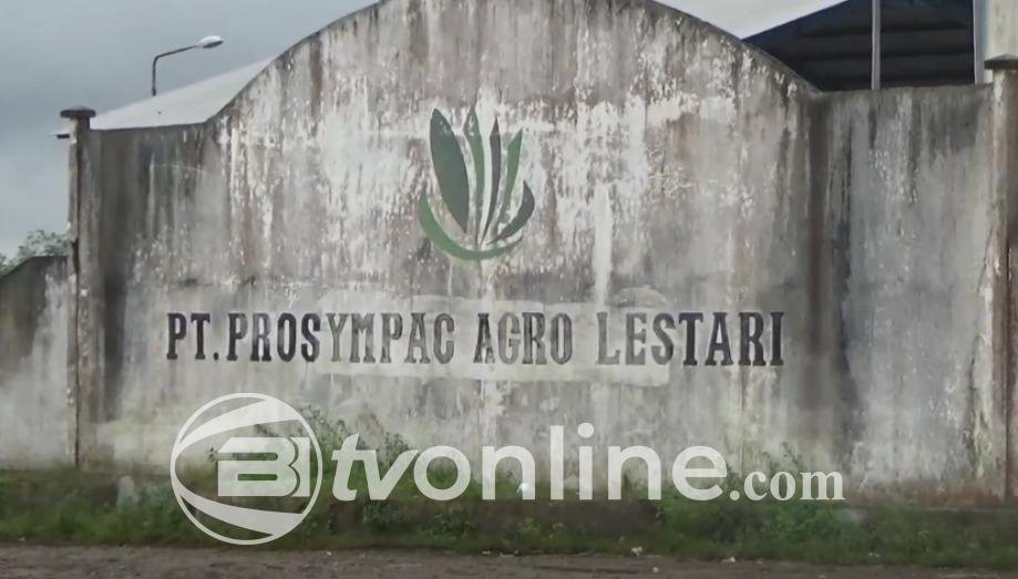 Pabrik Kelapa Sawit PT. PAL Dikuasai PT. MPJA, PT. MMJ Tegaskan Akan Tempuh Jalur Hukum