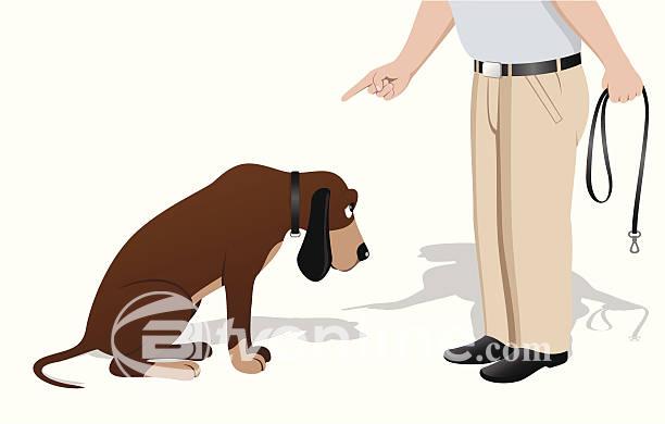 Pria Viral Pukul Anjing di Kafe Dog Ministry, Polisi Proses Kasusnya