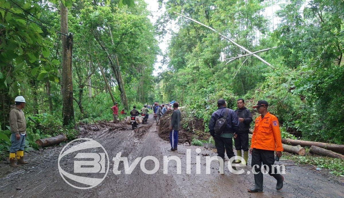 Akses Jalan Raya Kepanjen-Pagak Tertutup Akibat Longsor dan Pohon Tumbang