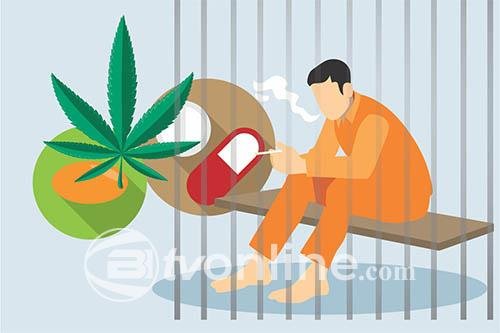 ASN di Padang Pariaman Ditangkap Polisi, Diduga Terlibat Peredaran Sabu