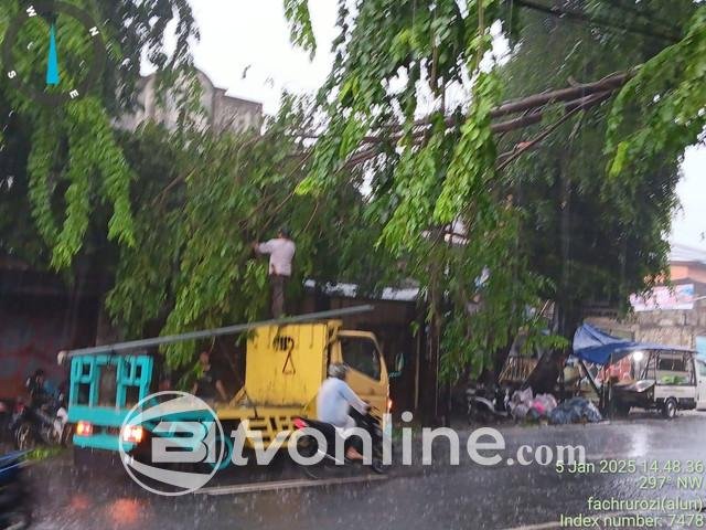 Hujan Deras dan Angin Kencang Sebabkan Pohon Tumbang di Jakarta Timur