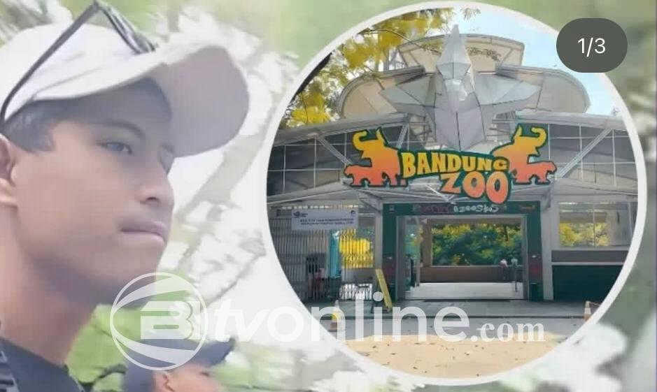 Getok Parkir Lagi di Bandung Zoo, Pengemudi Bus Wisata Dipungut Rp 150 Ribu