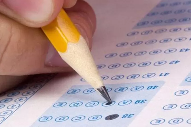 Pemerintah Diminta Tidak Gegabah Menghidupkan Kembali Ujian Nasional, P2G: Fokus pada Kompetensi Dasar