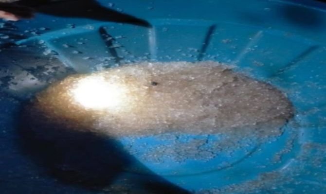 Fenomena Langka! Hujan Jelly Turun di Gorontalo Utara, Warga Heboh