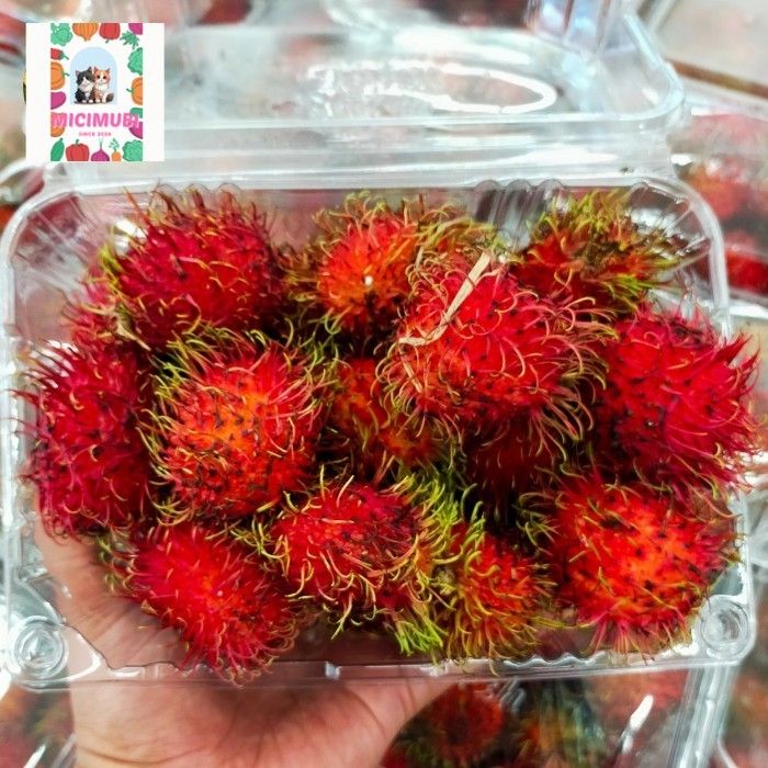 3 Buah Unik Khas Sumatera Utara yang Wajib Dicoba