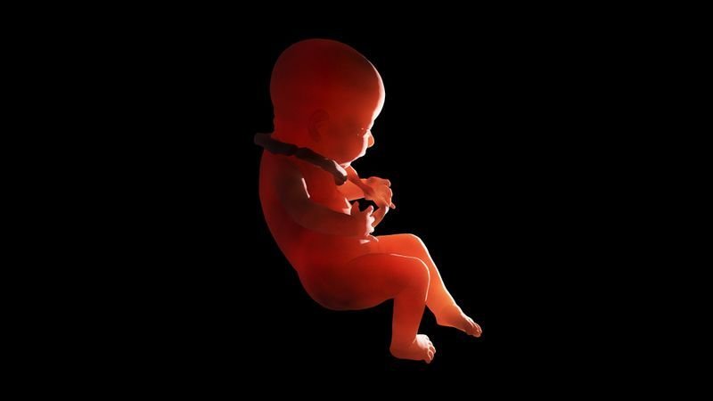 Bayi di India Alami Kondisi Langka 'Fetus in Fetu', Ditemukan Dua Janin di Perutnya!