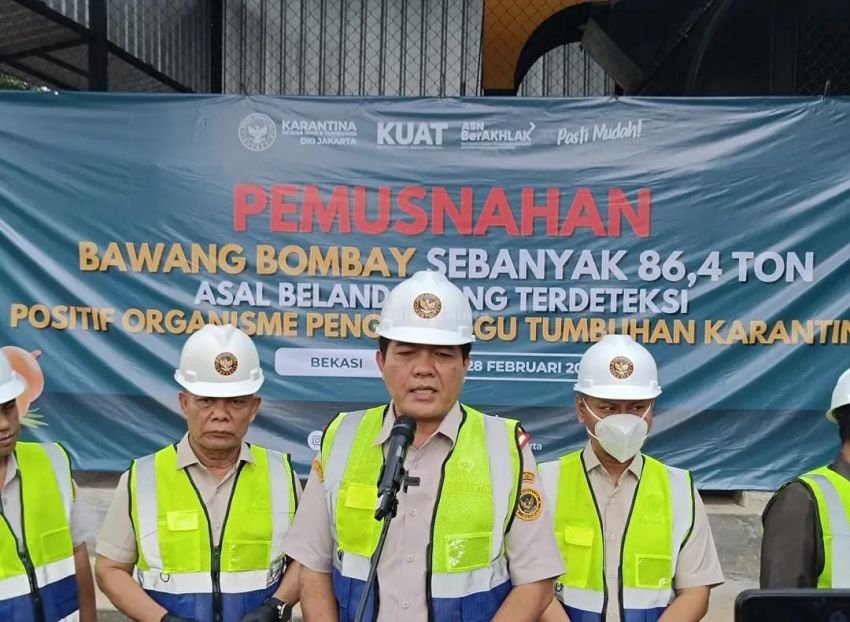 Pemusnahan 86,4 Ton Bawang Bombai Asal Belanda: Terbukti Mengandung OPTK