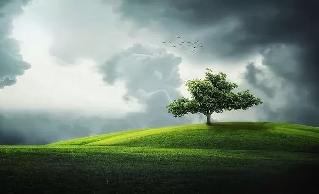 Cuaca Kota Medan dan Sekitarnya: Hujan Ringan dan Suhu Sejuk Sepanjang Hari