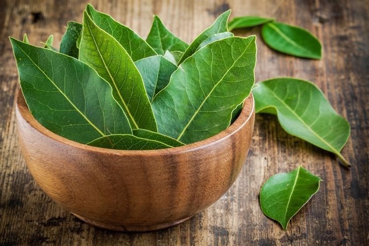 Waspada! Ini Dia Kelompok Orang yang Perlu Menghindari Konsumsi Rebusan Daun Salam